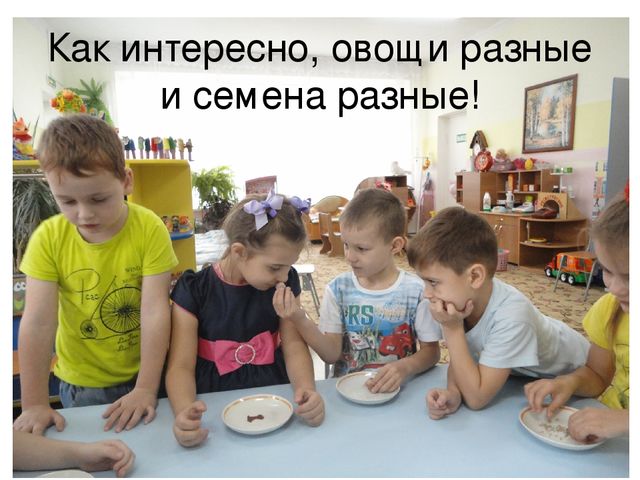 Проект на тему "Веселый огород" компенсирующая группа