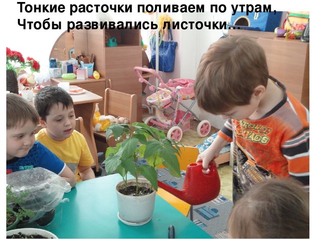 Проект на тему "Веселый огород" компенсирующая группа