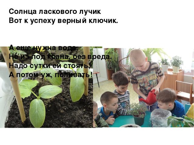 Проект на тему "Веселый огород" компенсирующая группа