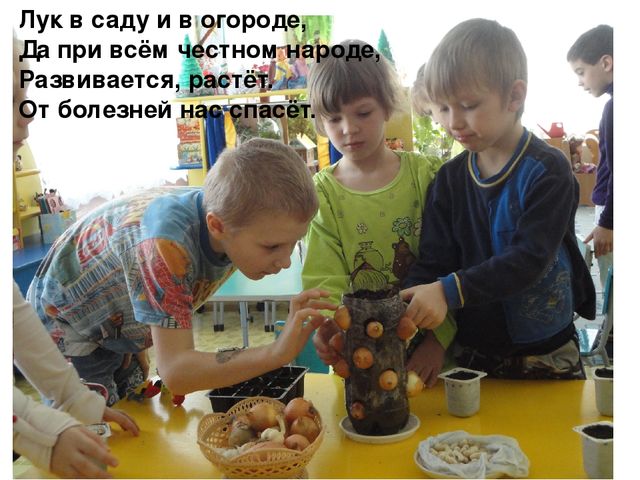 Проект на тему "Веселый огород" компенсирующая группа
