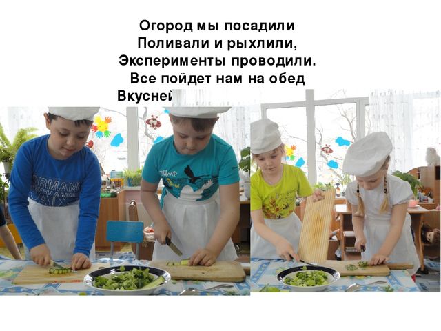 Проект на тему "Веселый огород" компенсирующая группа