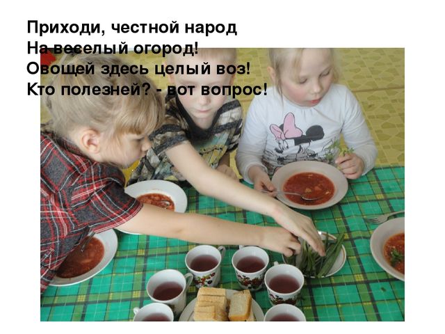 Проект на тему "Веселый огород" компенсирующая группа