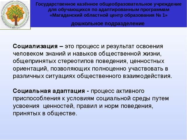 Презентация "Социально-личностное развитие дошкольников с ОВЗ в условиях внедрения проф стандарта педагога в дошкольном образовании: зарубежный и отечественный опыт"