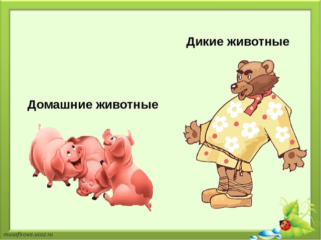 Презентация на тему "Применение элементов сказкотерапии в речевом развитии детей дошкольного возраста"