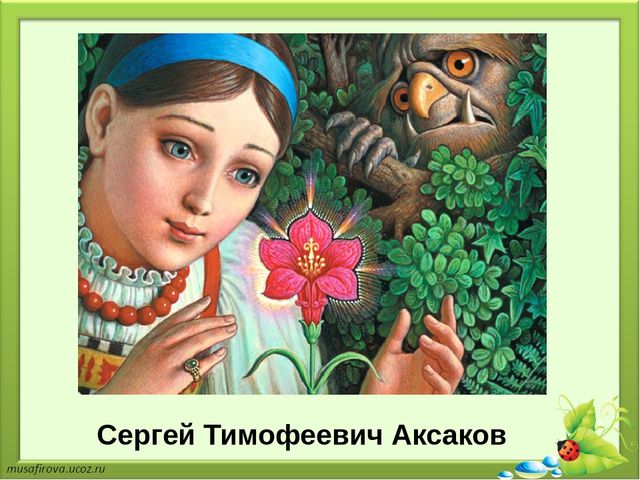 Презентация на тему "Применение элементов сказкотерапии в речевом развитии детей дошкольного возраста"
