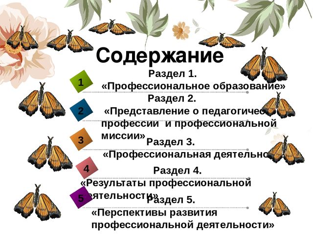 Портфолио воспитателя «Портфолио педагога- показатель результативности профессиональной деятельности»