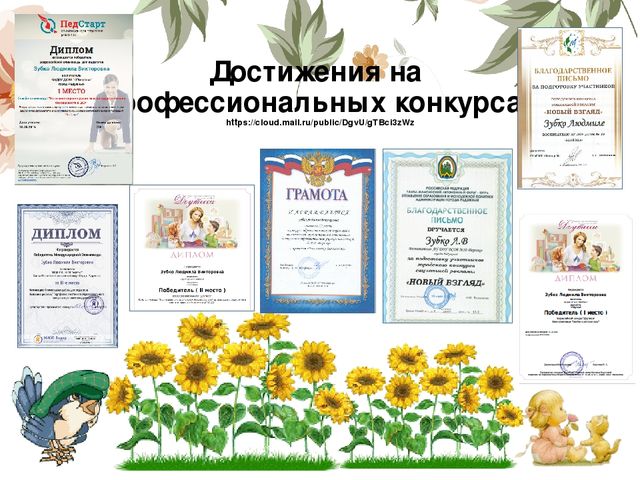 Портфолио воспитателя «Портфолио педагога- показатель результативности профессиональной деятельности»