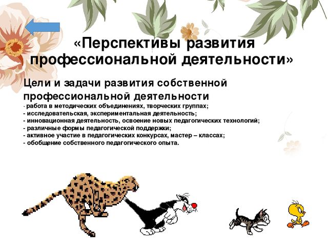 Портфолио воспитателя «Портфолио педагога- показатель результативности профессиональной деятельности»