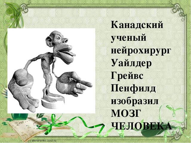 Презентация на тему:"Развитие мелкой моторики"