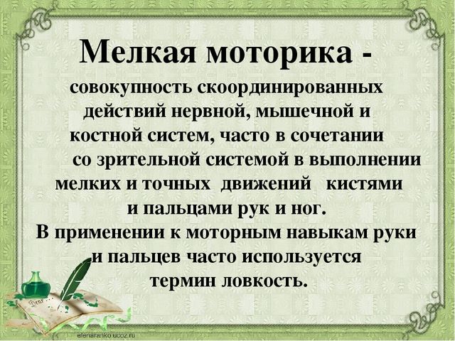 Презентация на тему:"Развитие мелкой моторики"