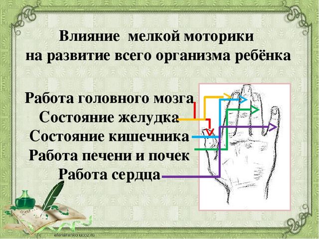 Презентация на тему:"Развитие мелкой моторики"