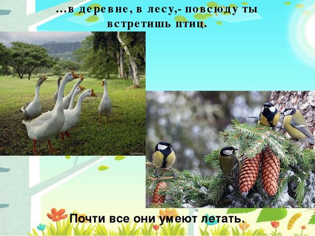 Презентация на тему: "Перелётные птицы"