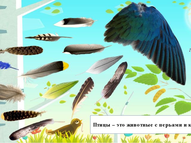 Презентация на тему: "Перелётные птицы"
