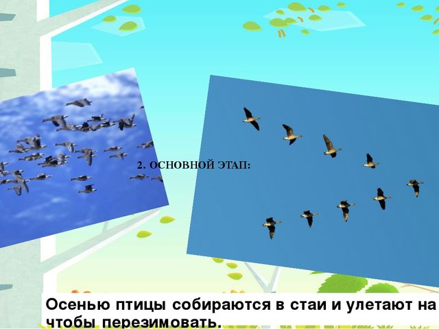 Презентация на тему: "Перелётные птицы"