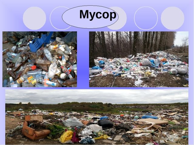 Презентация по экологическому воспитанию