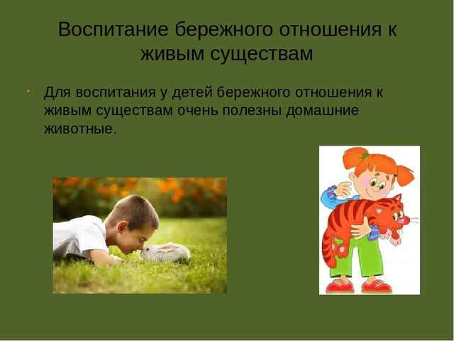 Воспитание бережного отношения к природе у детей дошкольников».