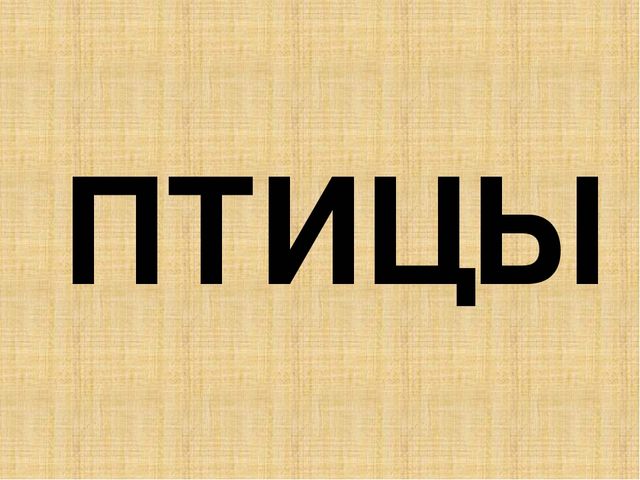 Презентация к конспекту " Перелетные птицы."