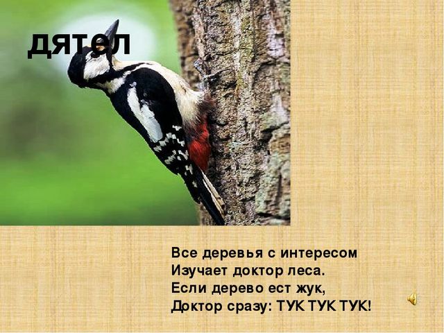 Презентация к конспекту " Перелетные птицы."