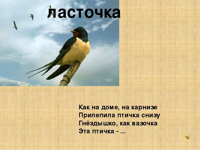 Презентация к конспекту " Перелетные птицы."