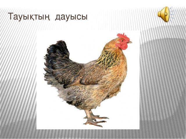 Презентация к открытому занятию Білім беру саласы: «Таным», «Шығармашылық». Бөлімі: Жаратылыстану, Жапсыру. Тақырыбы: Құстар ауласында