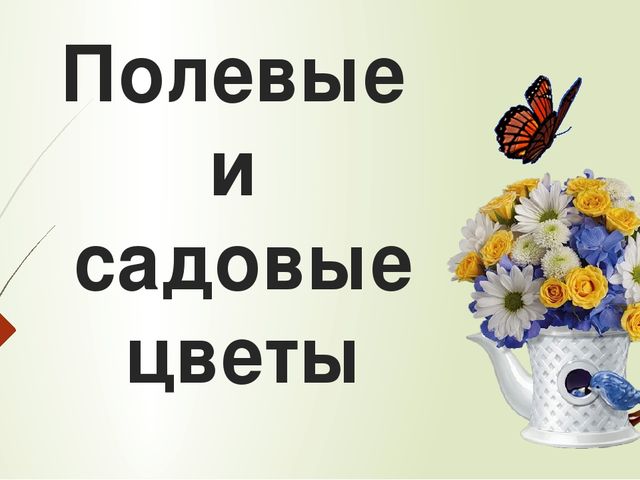 Презентация сказка о садовых цветах важенцева подготовительная группа