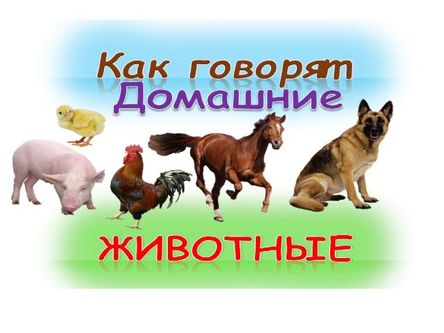 Презентация "Кто как говорит"