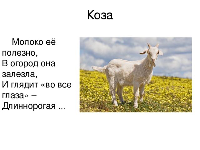 Презентация "Кто как говорит"
