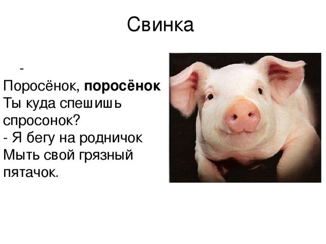Презентация "Кто как говорит"