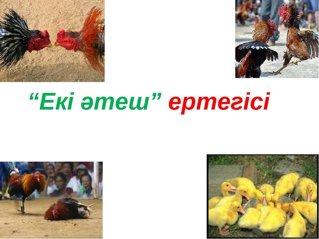 Дала құстарына қамқорлық көрсету