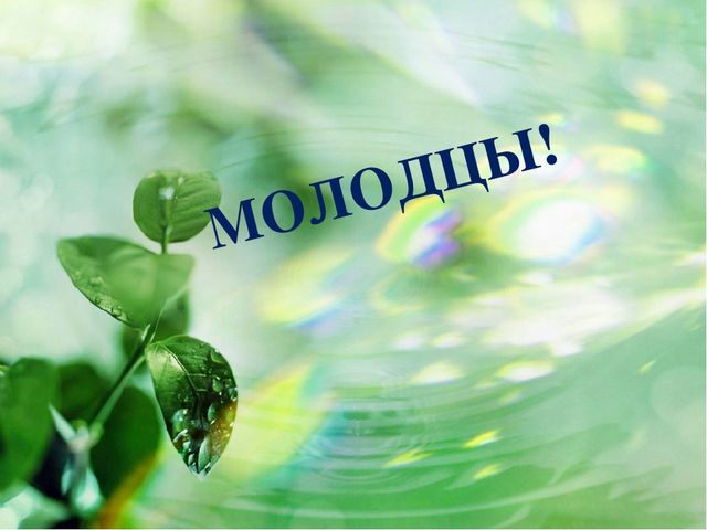 Презентация к конспекту НОД в подготовительной группе по теме: "Первоцветы"