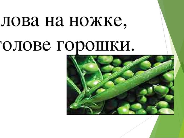 Презентация к родительскому собранию будущих первоклассников " Теперь мы школьники!