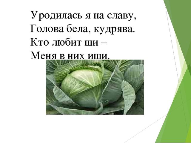 Презентация к родительскому собранию будущих первоклассников " Теперь мы школьники!