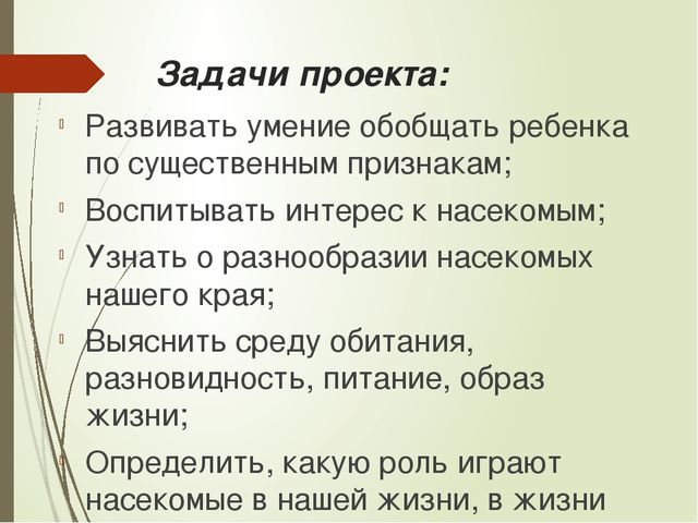 Презентация к проекту "Мир насекомых" для старших дошкольников