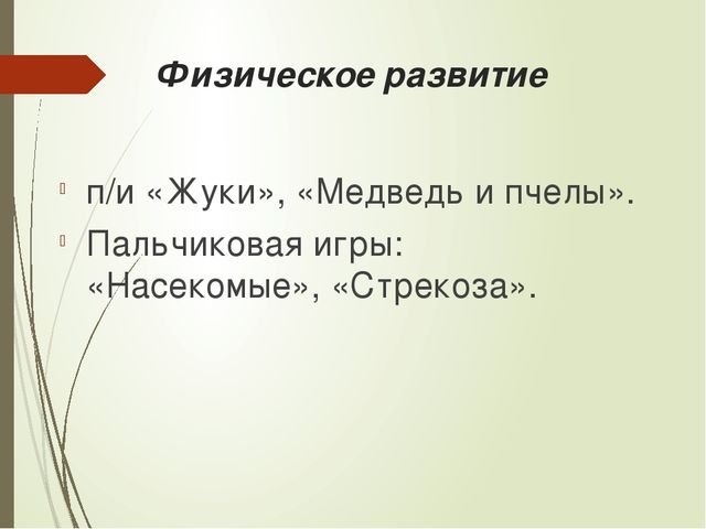 Презентация к проекту "Мир насекомых" для старших дошкольников