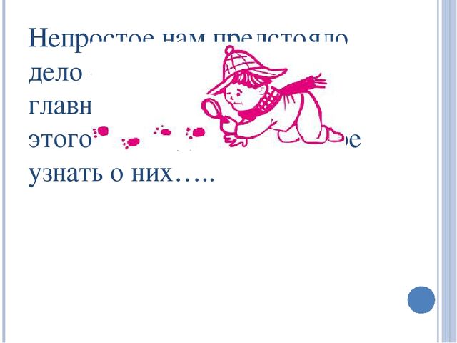 Презентация по экологии на тему: "Овощи"