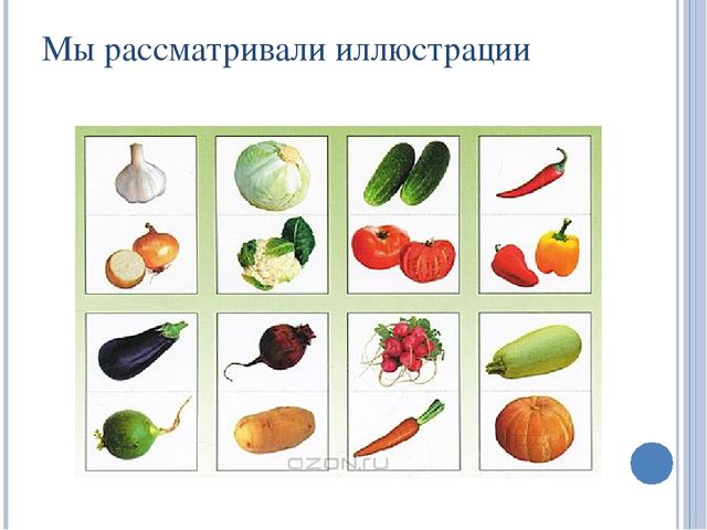Презентация по экологии на тему: "Овощи"