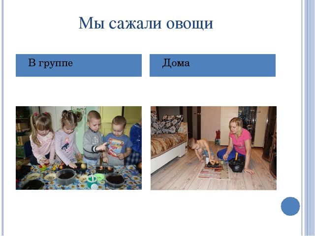 Презентация по экологии на тему: "Овощи"