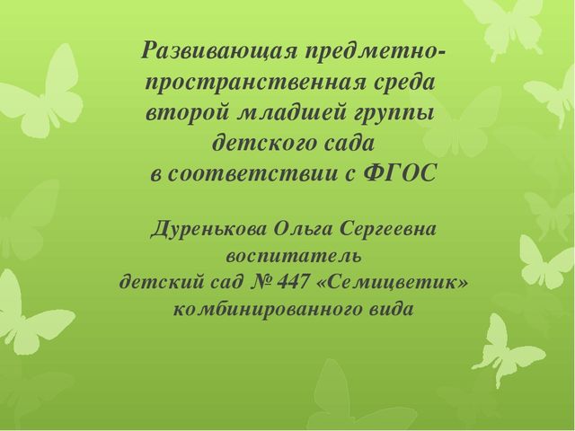 Развивающая предметно - пространственная среда ( 2 младшая группа)