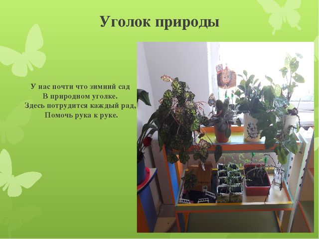 Развивающая предметно - пространственная среда ( 2 младшая группа)