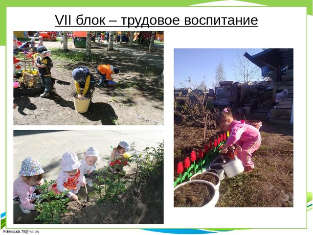 Краткосрочный проект "Здравствуй лето!"