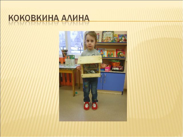 Презентация на тему "Покормите птиц зимой"
