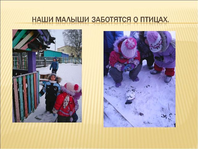 Презентация на тему "Покормите птиц зимой"
