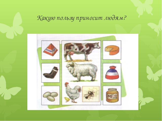 Презентация на тему "Домашние животные " для детей младшей группы