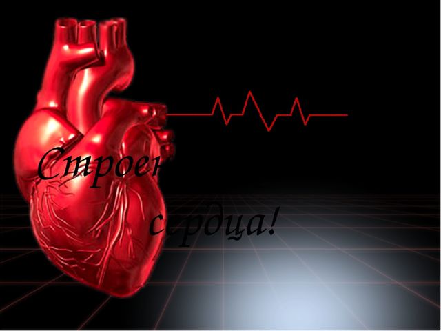 Презентация для кружка "Сердце"