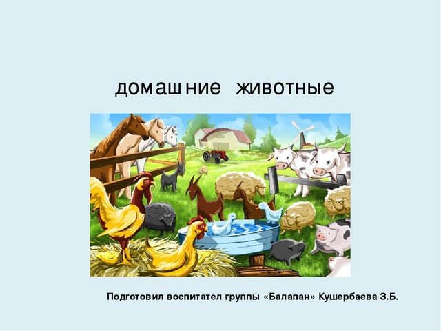 Презентация на тему "Домашние животные"
