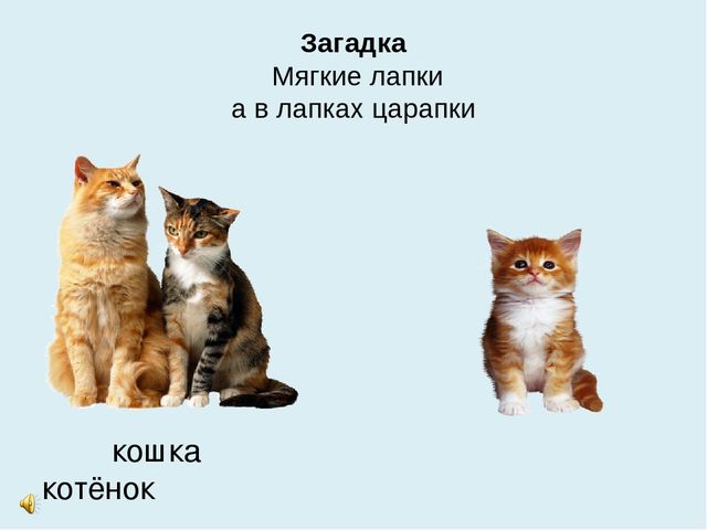 Презентация на тему "Домашние животные"