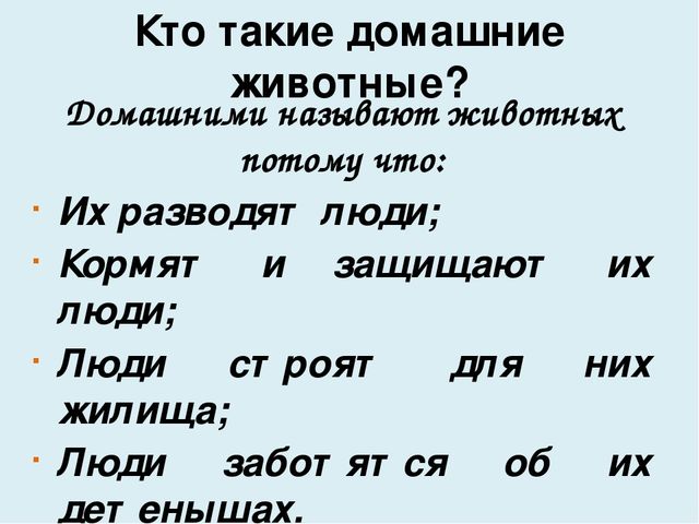 Презентация на тему "Домашние животные"