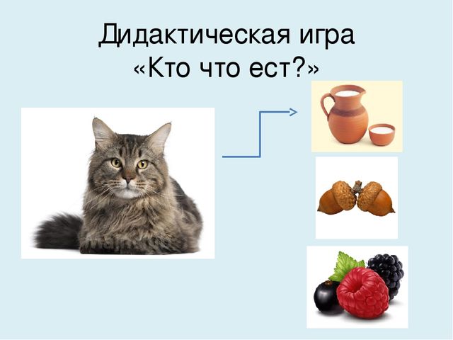 Презентация на тему "Домашние животные"