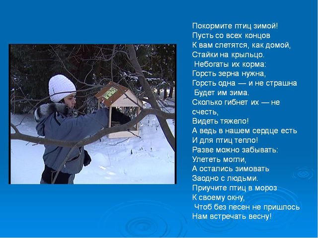 Презентация на тему "Как помочь птицам зимой?" для детей средней группы