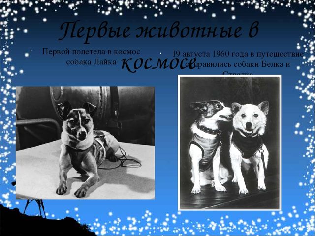 Презентация по окружающему миру "Этот загадочный мир космос" (разновозрастная группа №6)
